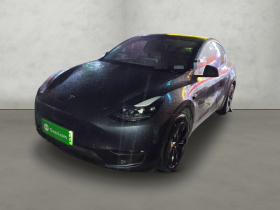 特斯拉 Model Y 2024款 长续航全轮驱动版