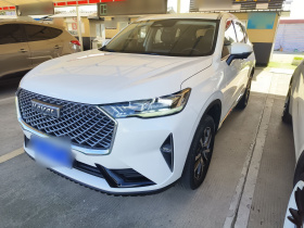 哈弗H6 2021款 第三代 2.0T 自动两驱Max