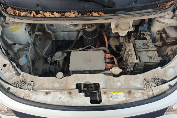 思皓 2022款 花仙子款 四叶草局部细节24