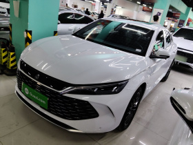 比亚迪 秦L 2024款 DM-i 120KM卓越型