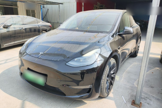 特斯拉 Model Y 2021款 长续航全轮驱动版