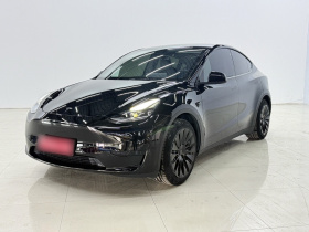 特斯拉 Model Y 2024款 后轮驱动版