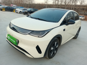 比亚迪 海豚 2025款 智驾版 410km 时尚版