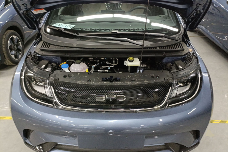 比亚迪 海豚 2025款 420km 自由版机舱底盘24