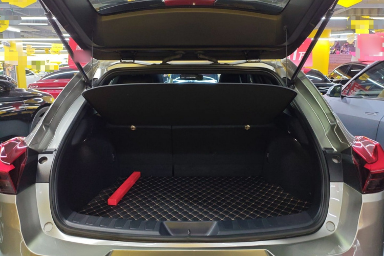 雷克萨斯UX新能源 2020款 300e 纯·悦版机舱底盘23