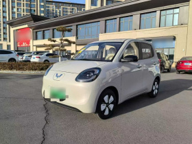 五菱汽车 宏光MINIEV 2025款 四门版 进阶款