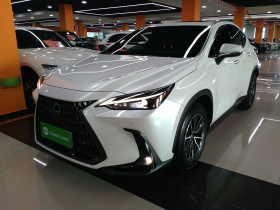 雷克萨斯NX 2023款 260 前驱 创游特别版