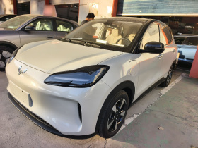 五菱汽车 五菱缤果PLUS 2024款 330km 五座版