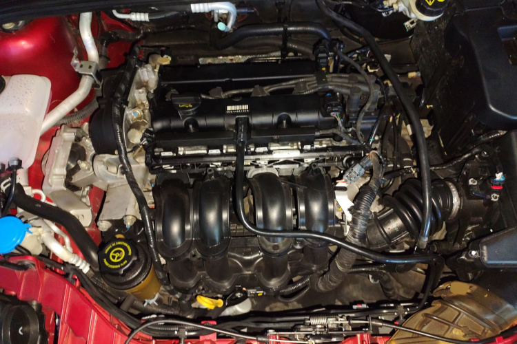 福特 福克斯 2012款 两厢 1.6L 自动风尚型局部细节24