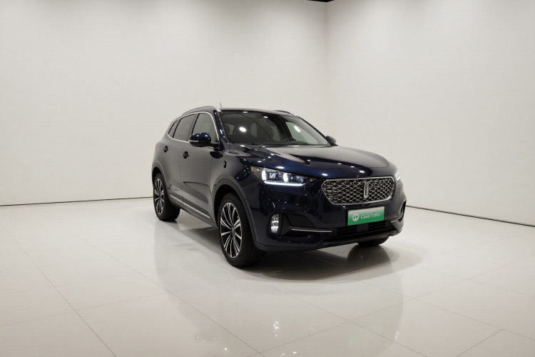 魏牌 VV6 2021款 2.0T 两驱智享+车身外观3