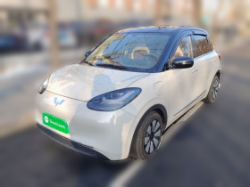 五菱汽车 五菱缤果 2024款 333km 悦享款