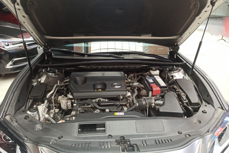 雷克萨斯ES 2023款 200 卓越版局部细节24