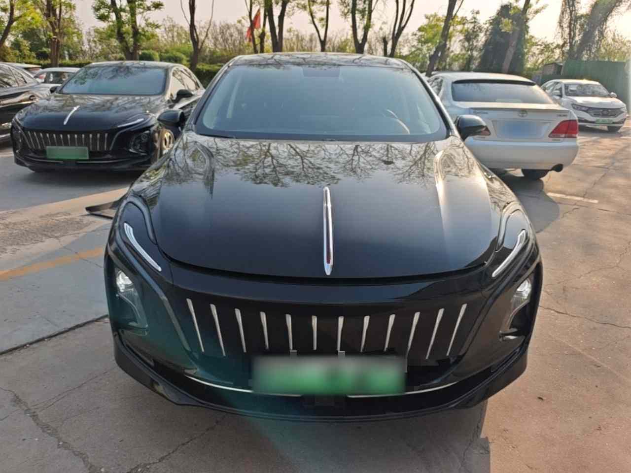 红旗E-QM5 2024款 450km 出行版(1)