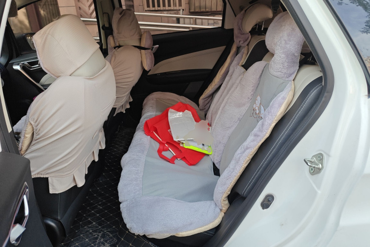 睿蓝汽车 枫叶30X 2020款 智行版中控内饰21