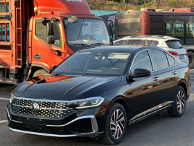 大众 朗逸 2024款 1.5L 自动星空五百万版