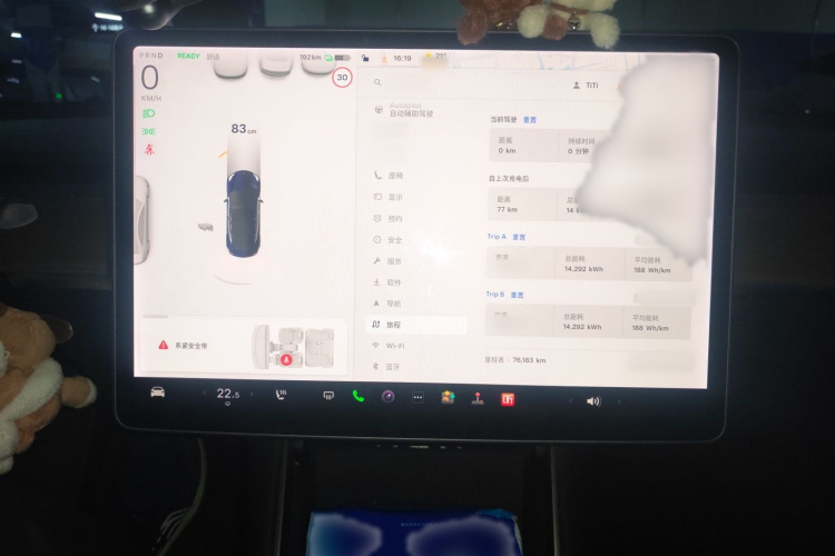 特斯拉 Model 3 2019款 标准续航后驱升级版局部细节16