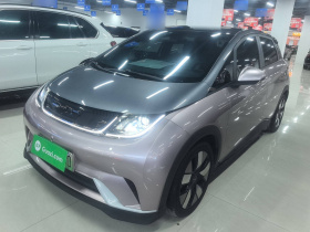 比亚迪 海豚 2021款 401km 骑士版