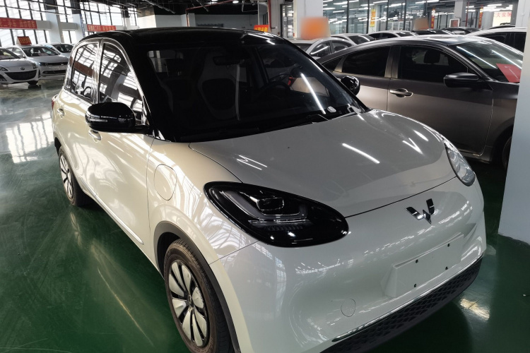 五菱汽车 五菱缤果 2023款 333km 灵犀互联款车身外观3