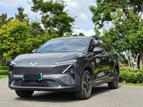 五菱汽车 五菱星光S 2024款 130km 旗舰型