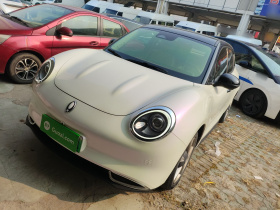 欧拉好猫 2021款 400km标准续航 维纳斯版 三元锂