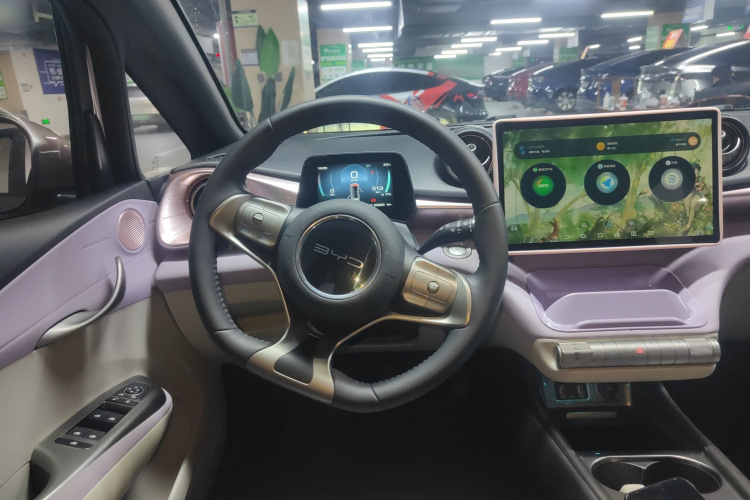 比亚迪 海豚 2021款 405km 自由版局部细节13