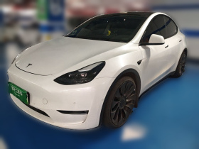特斯拉 Model Y 2021款 Performance高性能全轮驱动版