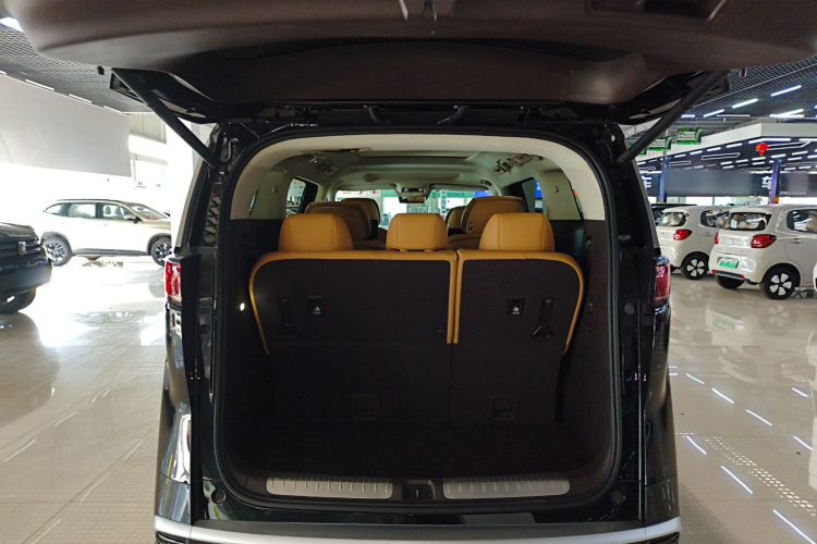 腾势D9 2024款 DM-i 980 四驱旗舰型局部细节23