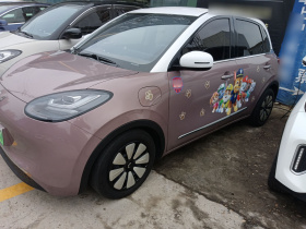 五菱汽车 五菱缤果 2023款 333km 灵犀互联款