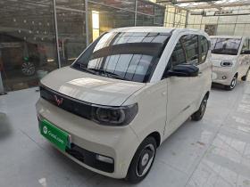 五菱汽车 宏光MINIEV 2021款 马卡龙臻享款 磷酸铁锂