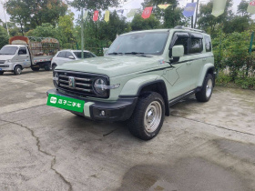 坦克300 2021款 城市版 2.0T 很有型