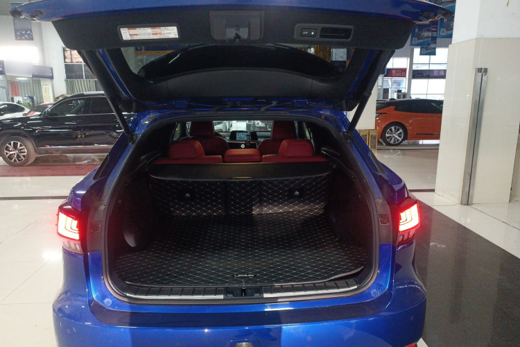 雷克萨斯RX 2021款 300 四驱F SPORT局部细节23