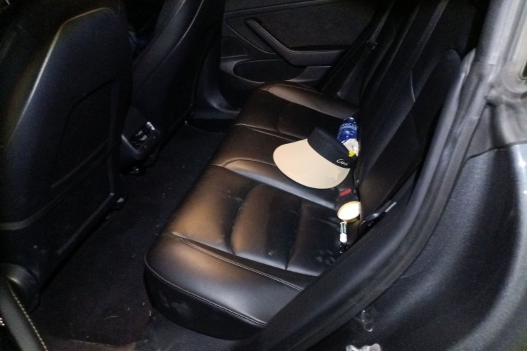 特斯拉 Model 3 2019款 标准续航后驱升级版中控内饰21