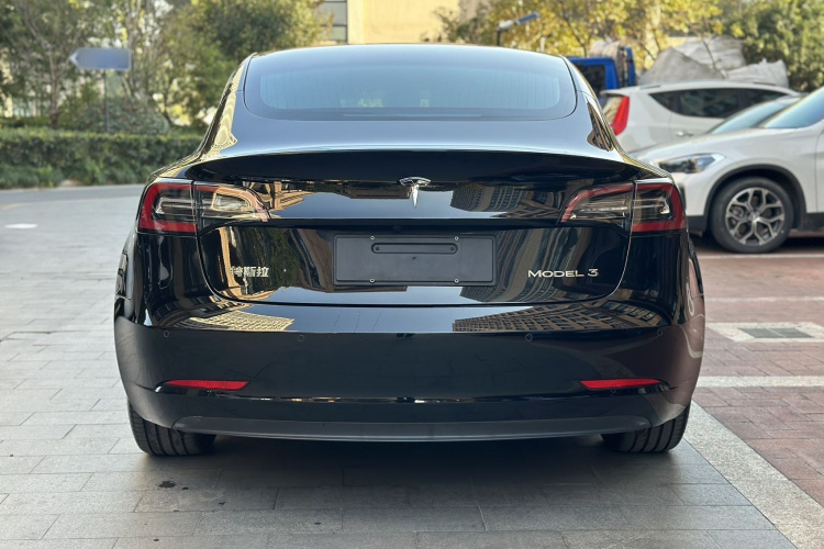特斯拉 Model 3 2020款 改款 标准续航后驱升级版车身外观6005