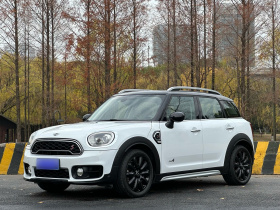 MINI Countryman 2018款 2.0T COOPER S ALL4 经典派