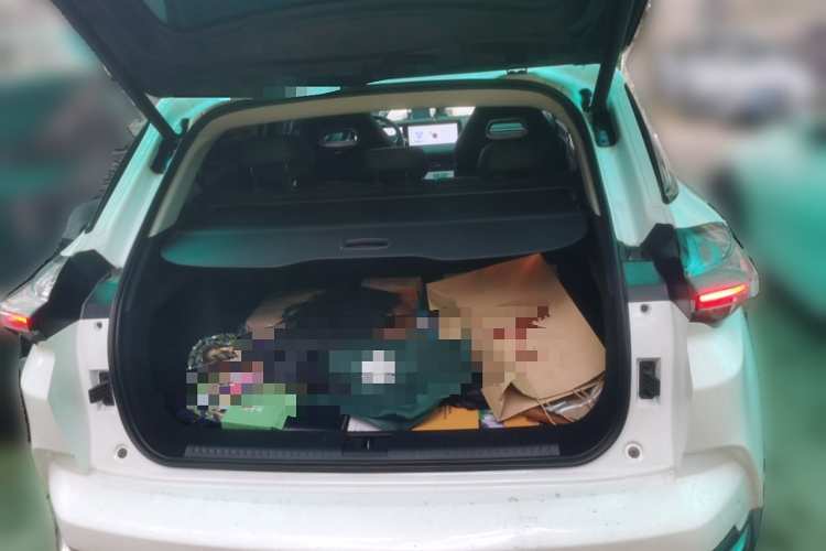 哪吒汽车 哪吒U 2022款 智500 磷酸铁锂局部细节23