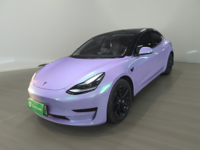 特斯拉 Model 3 2022款 后轮驱动版
