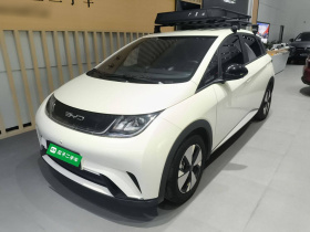 比亚迪 海豚 2023款 420km 自由版