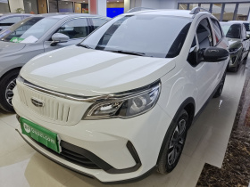 吉利几何 EX3 功夫牛 2021款 坚强牛牛