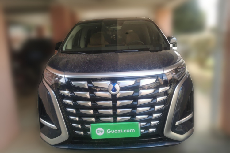 腾势D9 2022款 DM-i 970 四驱尊荣型车身外观6001