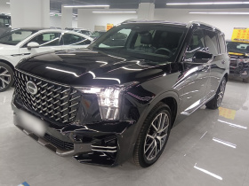 广汽传祺 传祺GS8 2022款 领航系列 2.0TGDI 两驱豪华智联版（七座）