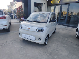 五菱汽车 宏光MINIEV 2024款 第三代 215km 青春版