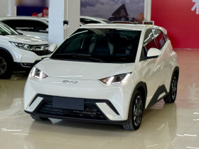 比亚迪 海鸥 2024款 荣耀版 305km 自由版