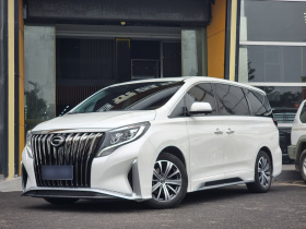 广汽传祺 传祺M8 2020款 大师版 390T 至尊版