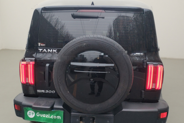 坦克300 2023款 越野版 2.0T 挑战者车身外观6