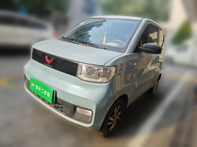 五菱汽车 宏光MINIEV 2020款 自在款 磷酸铁锂