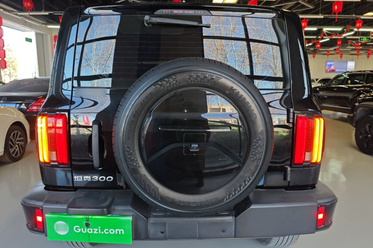 坦克300 2024款 2.0T 征服者车身外观6004