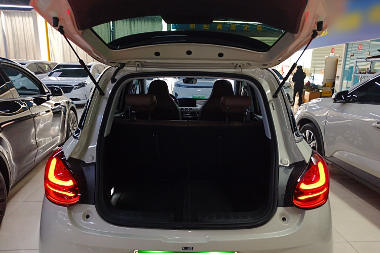 五菱汽车 五菱缤果 2023款 410km 灵犀尊享款局部细节23