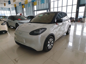 五菱汽车 五菱缤果 2023款 333km 悦享+款