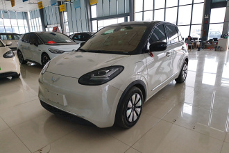 五菱汽车 五菱缤果 2023款 333km 悦享+款