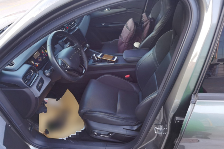 领克03 2021款 2.0TD 自动劲 冠军版局部细节19